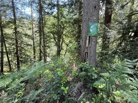 7999 Acorn Lane Marblemount WA 98267
