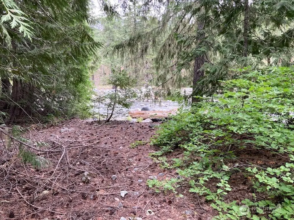 1 Fs Road 4330 Ronald WA 98940