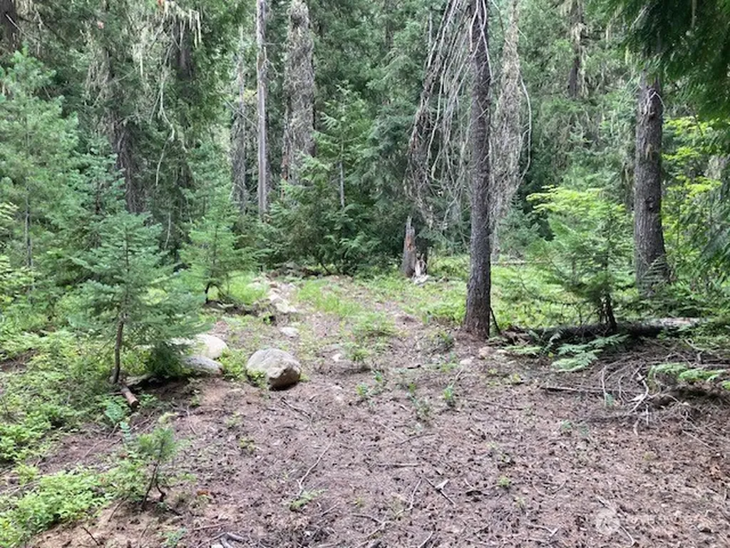 1 Fs Road 4330 Ronald WA 98940