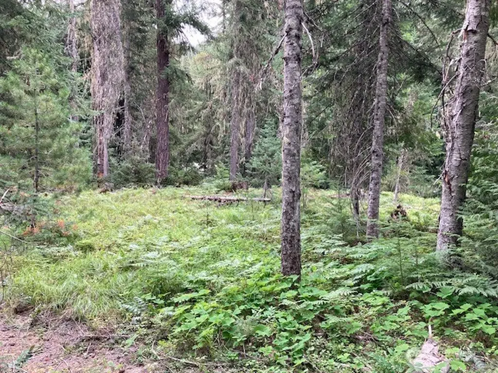 1 Fs Road 4330 Ronald WA 98940