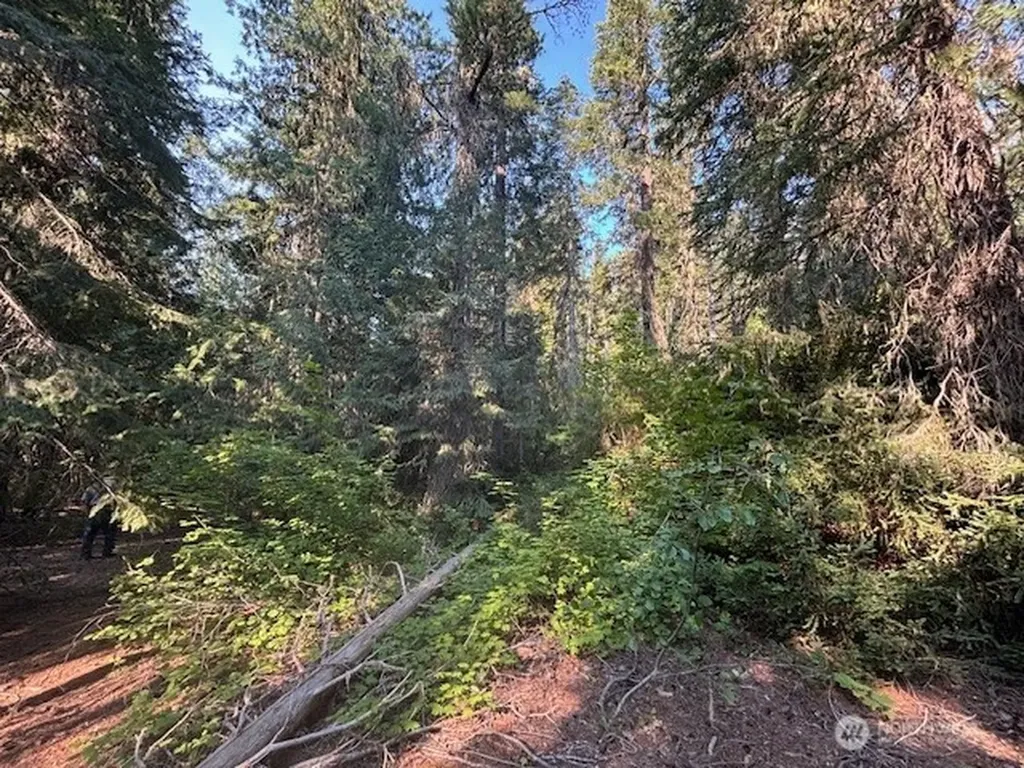 1 Fs Road 4330 Ronald WA 98940