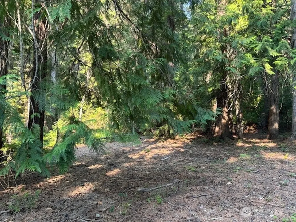 1 Fs Road 4330 Ronald WA 98940