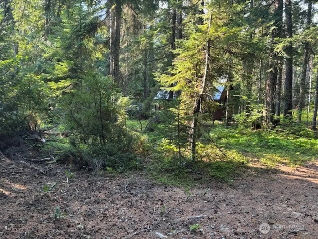 1 Fs Road 4330 Ronald WA 98940