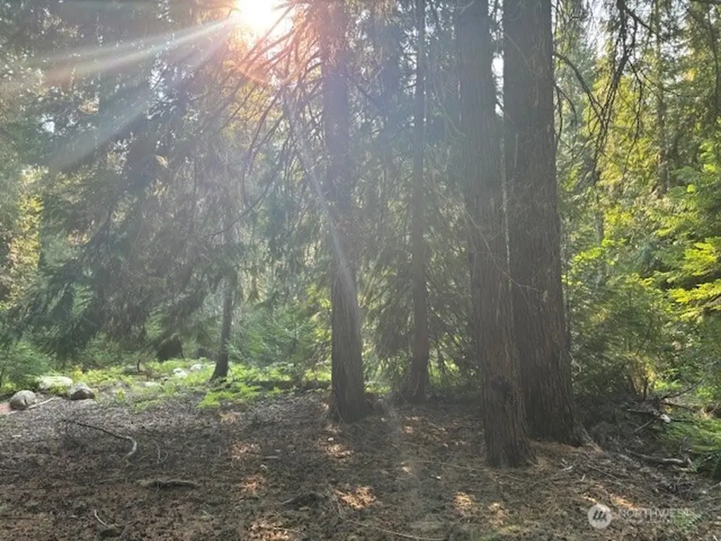 1 Fs Road 4330 Ronald WA 98940