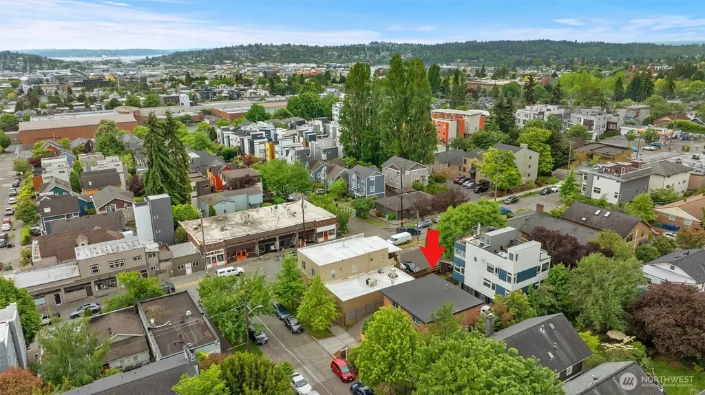 7007 Alonzo Avenue NW Seattle WA 98117