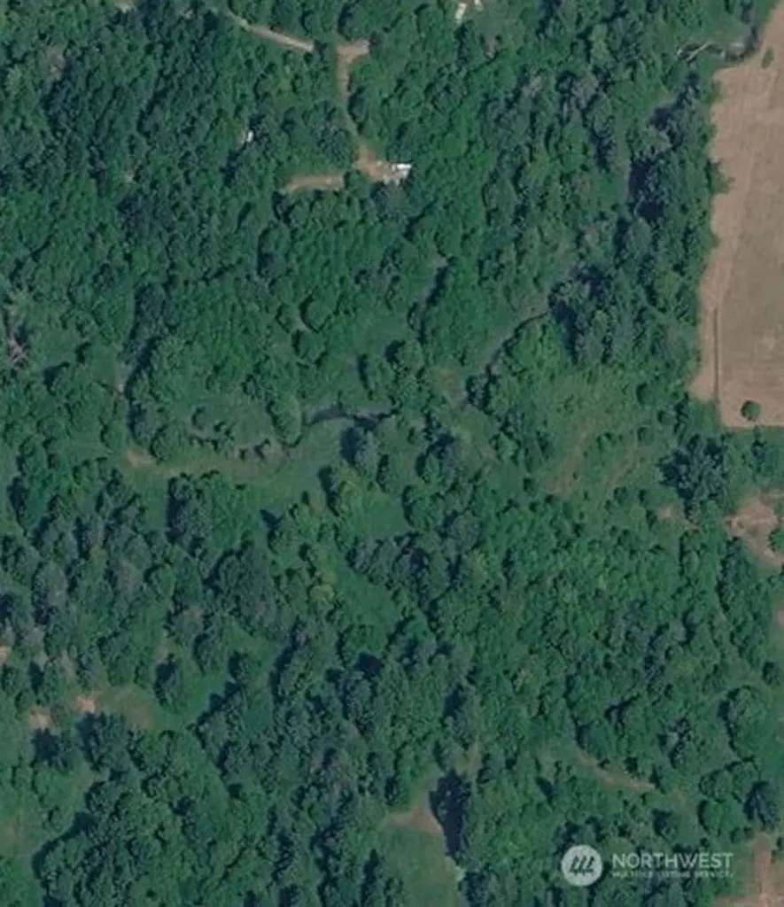 0 Cedar Grove Road Randle WA 98377