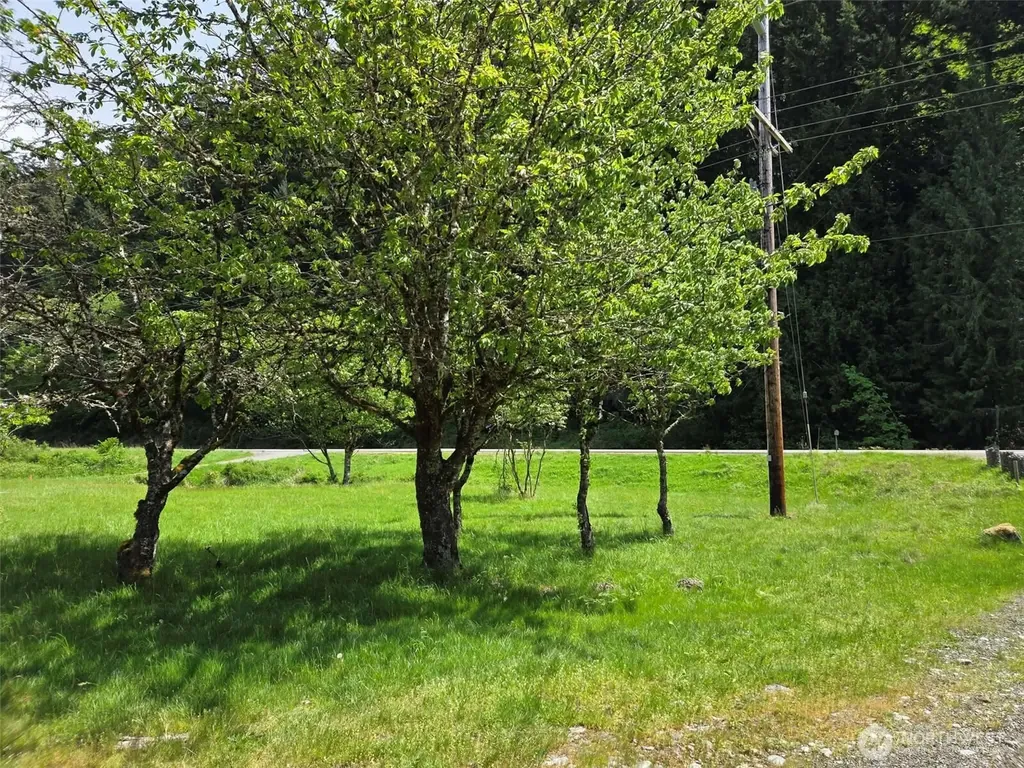 11697 Us Highway 12 Randle WA 98377