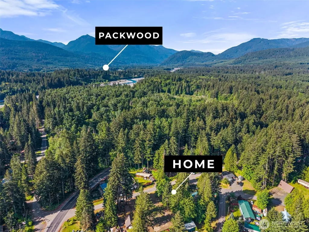 110 Mt Rainier Drive Packwood WA 98361