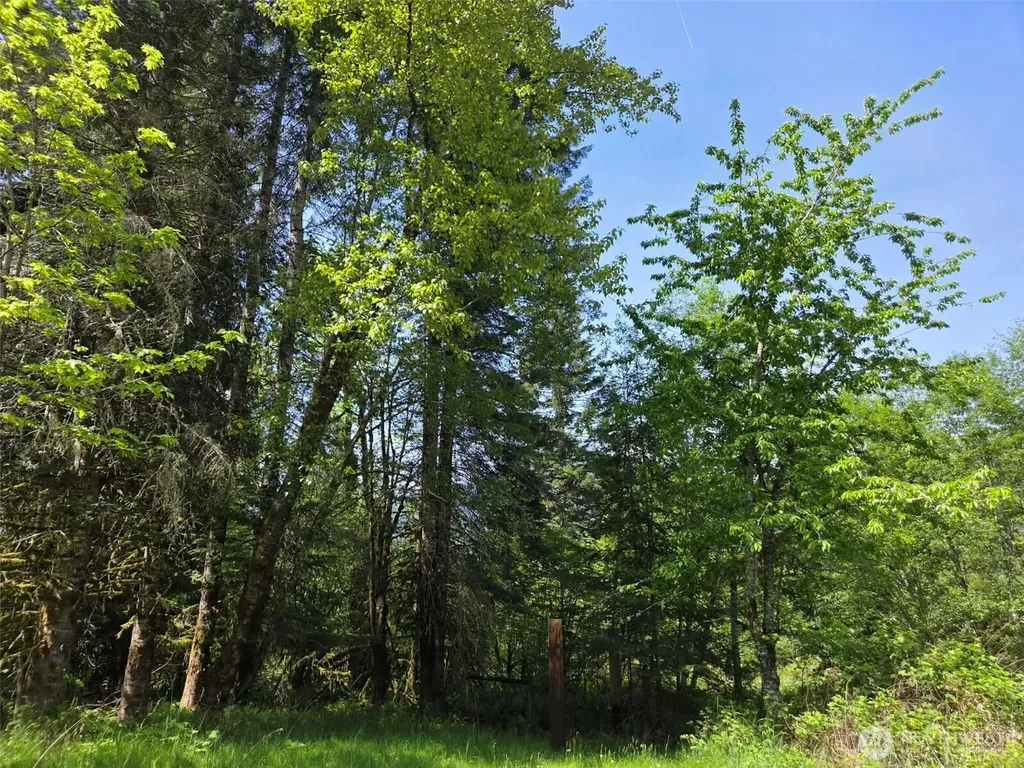 11697 Us Highway 12 Randle WA 98377