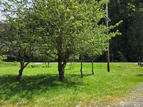 11697 Us Highway 12 Randle WA 98377