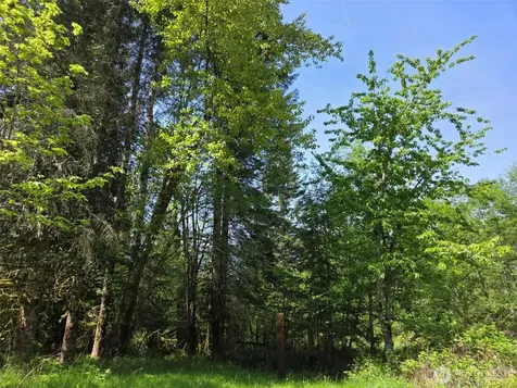 11697 Us Highway 12 Randle WA 98377