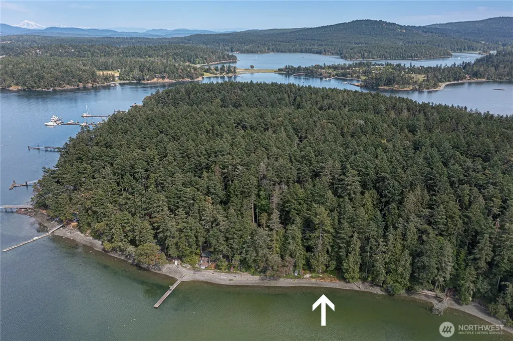 16 Driftwood Drive Henry Island WA 98250
