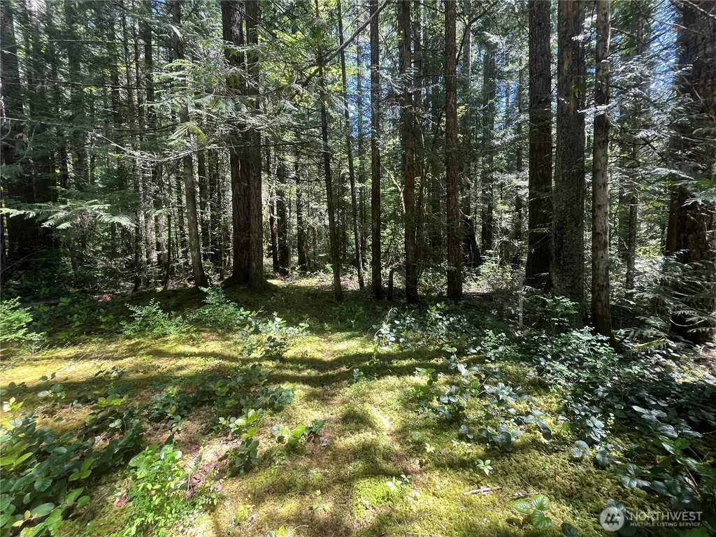212 N Mt Jupiter Drive Hoodsport WA 98548