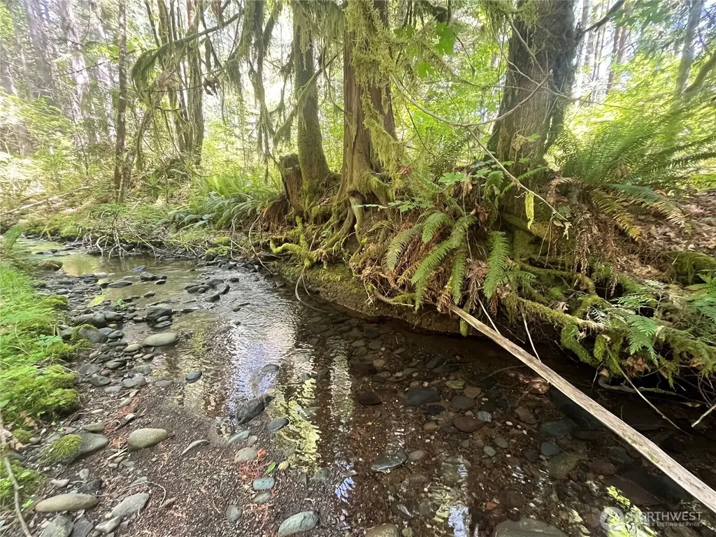 212 N Mt Jupiter Drive Hoodsport WA 98548