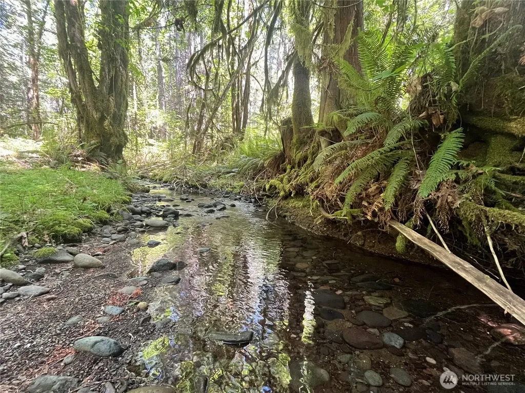 212 N Mt Jupiter Drive Hoodsport WA 98548