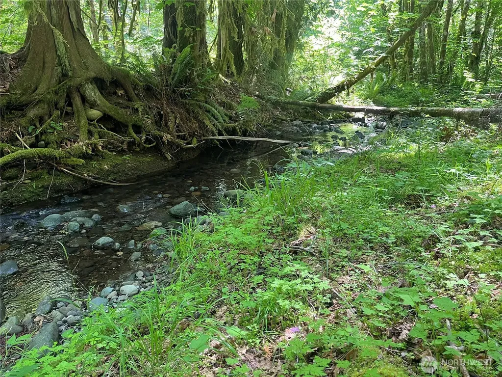 212 N Mt Jupiter Drive Hoodsport WA 98548