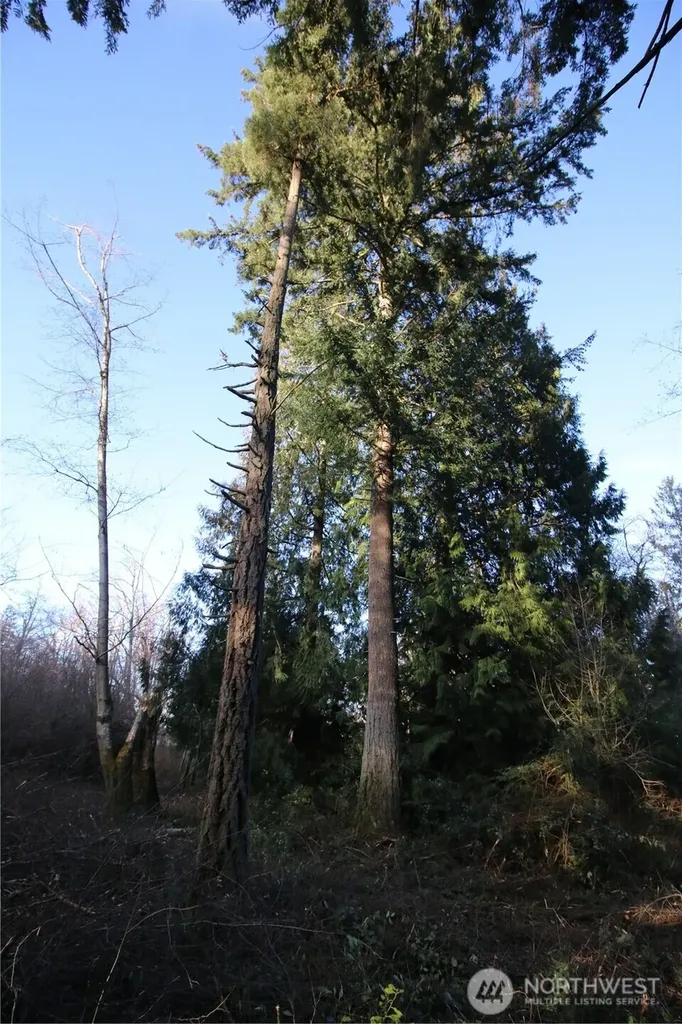 0 91st Ave SW Vashon WA 98070