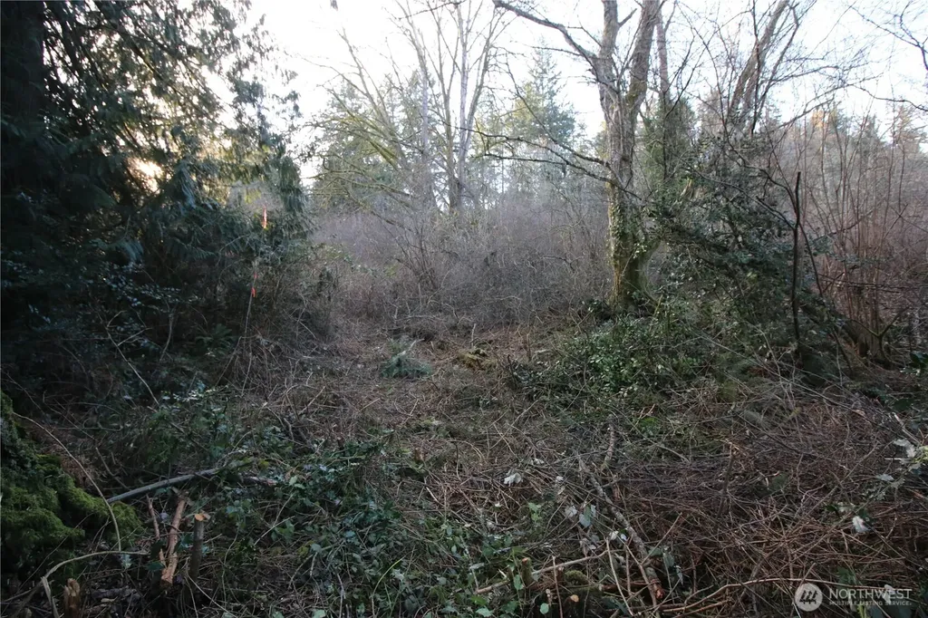 0 91st Ave SW Vashon WA 98070