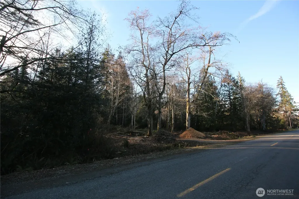 0 91st Ave SW Vashon WA 98070