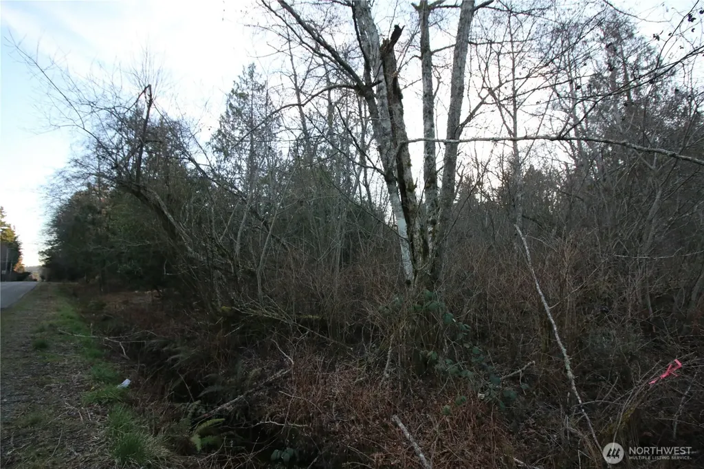 0 91st Ave SW Vashon WA 98070