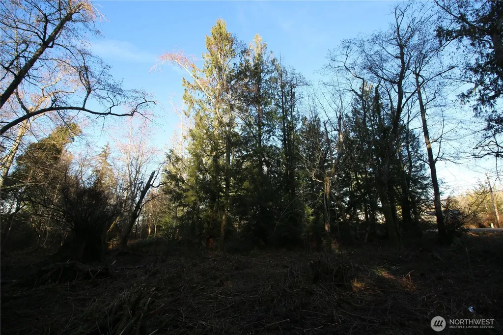0 91st Ave SW Vashon WA 98070
