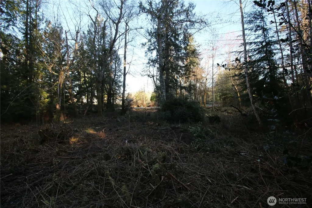0 91st Ave SW Vashon WA 98070