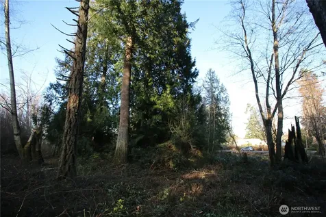 0 91st Ave SW Vashon WA 98070