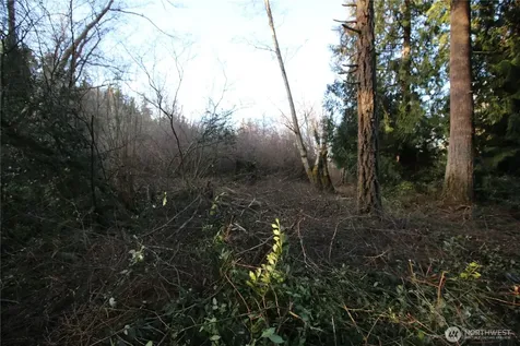 0 91st Ave SW Vashon WA 98070