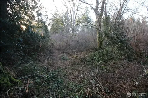 0 91st Ave SW Vashon WA 98070