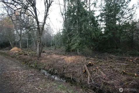 0 91st Ave SW Vashon WA 98070