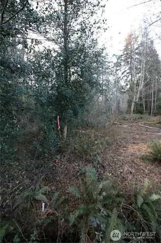 0 91st Ave SW Vashon WA 98070
