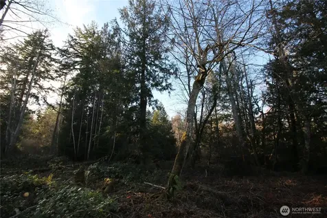 0 91st Ave SW Vashon WA 98070
