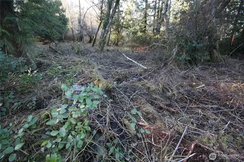 0 91st Ave SW Vashon WA 98070