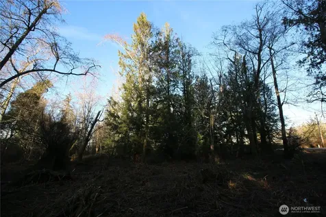 0 91st Ave SW Vashon WA 98070