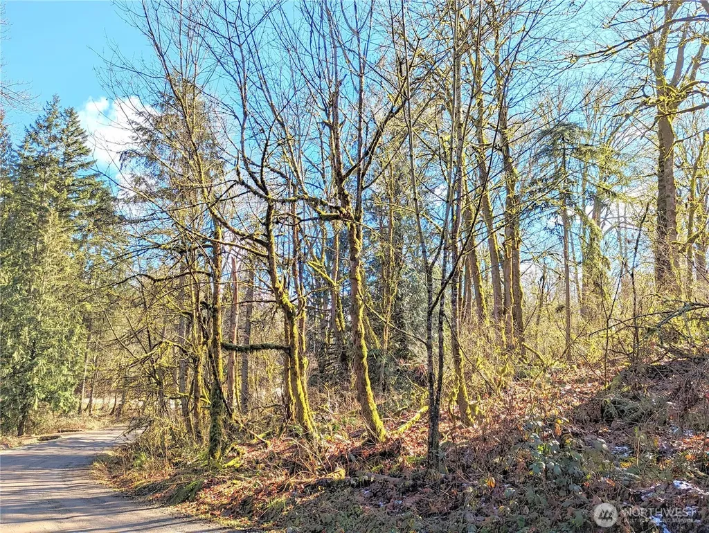 17400 SE 298th Street Kent WA 98042