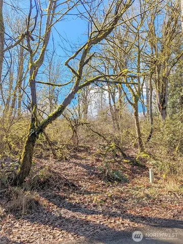 17400 SE 298th Street Kent WA 98042