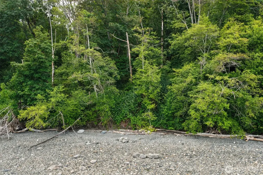 7099 Wilson Creek Road SE Port Orchard WA 98367