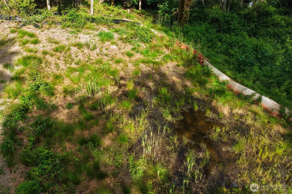 7099 Wilson Creek Road SE Port Orchard WA 98367