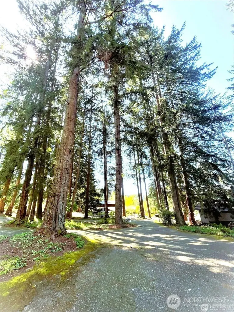3124 Zenkner Valley Road SW Centralia WA 98531