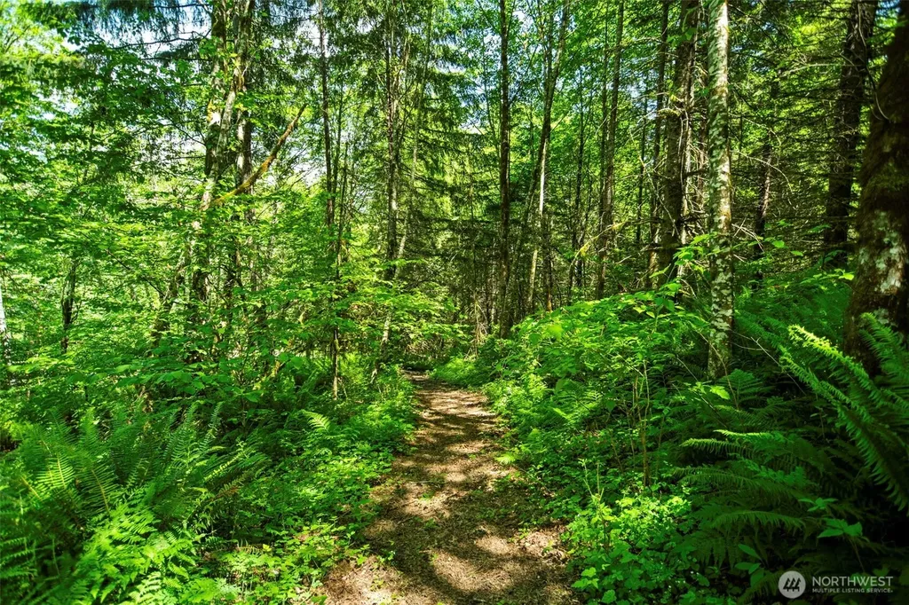 400 N Dubois Road Ariel WA 98603