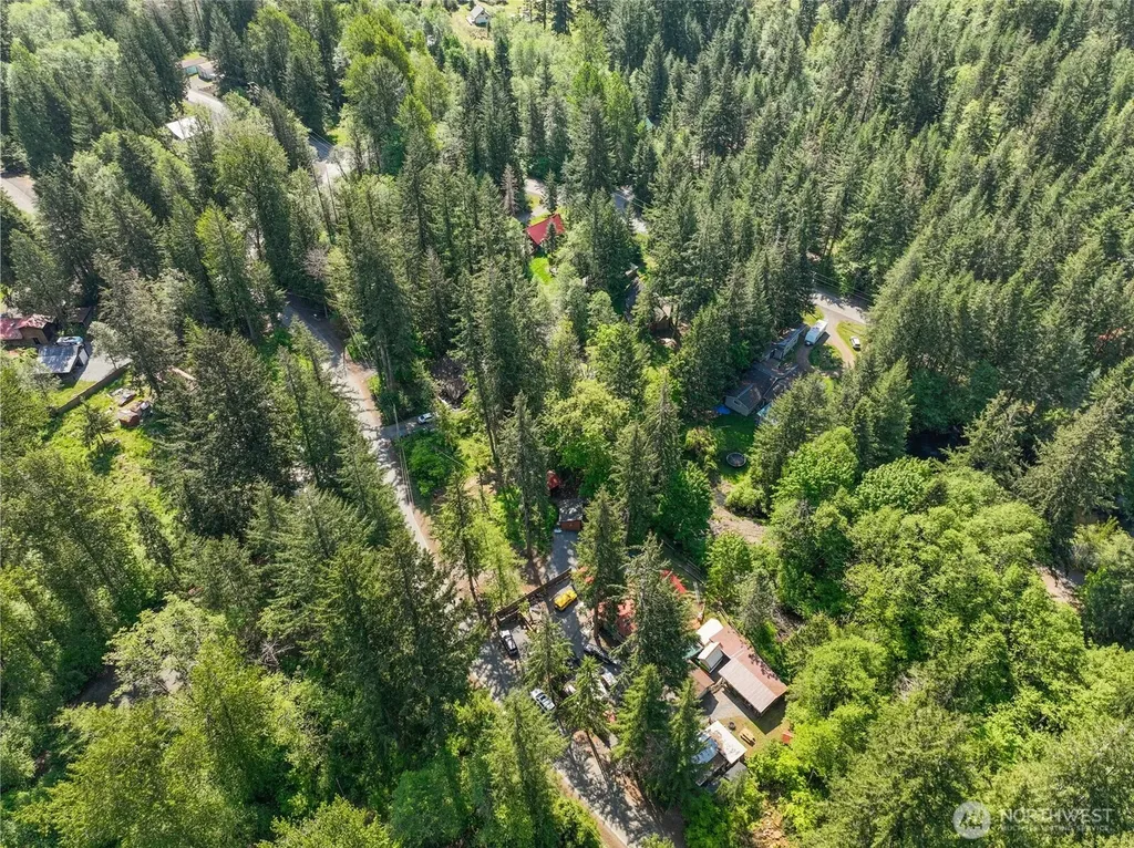 131 Nisqually Way Ashford WA 98304