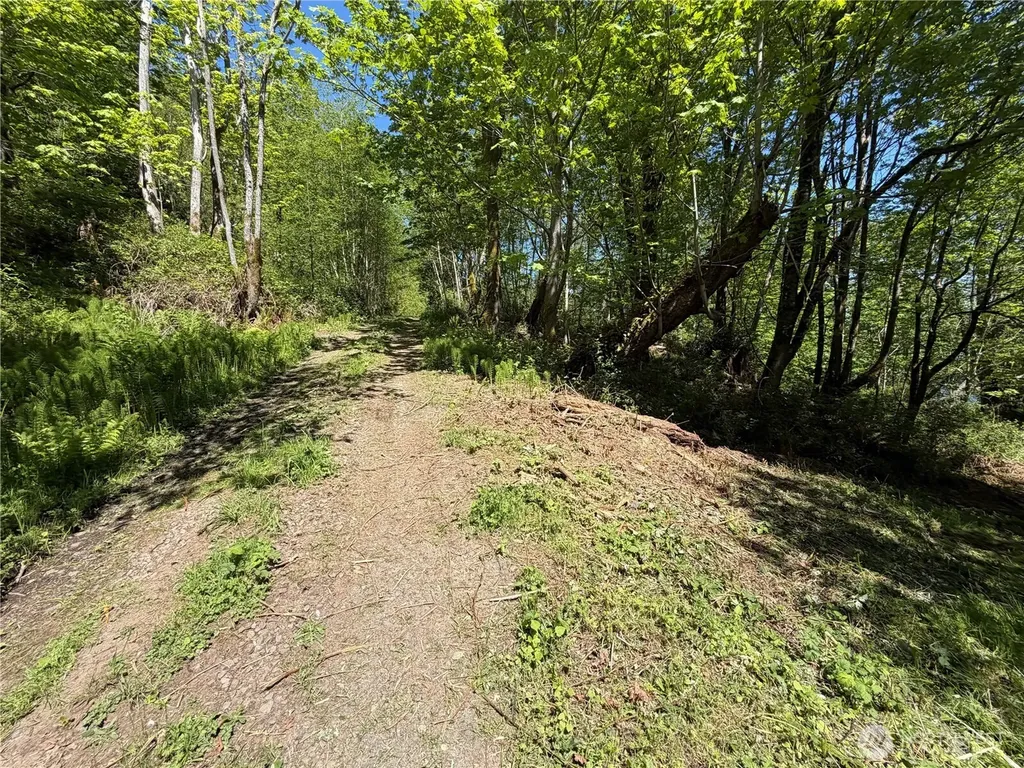 7095 Wilson Creek Road SE Port Orchard WA 98367