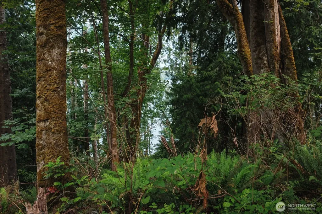 7095 Wilson Creek Road SE Port Orchard WA 98367