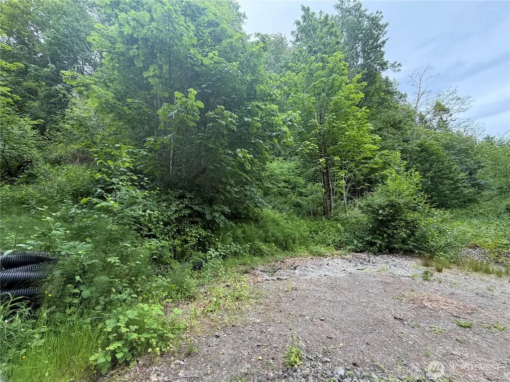 7095 Wilson Creek Road SE Port Orchard WA 98367
