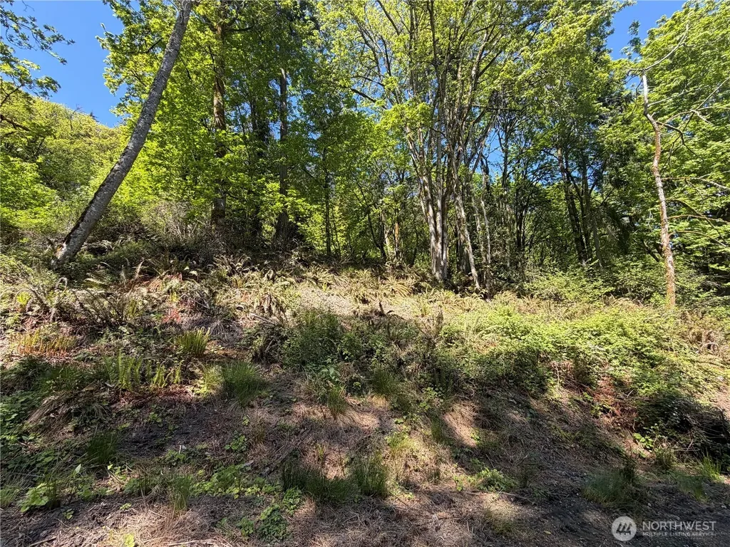 7095 Wilson Creek Road SE Port Orchard WA 98367