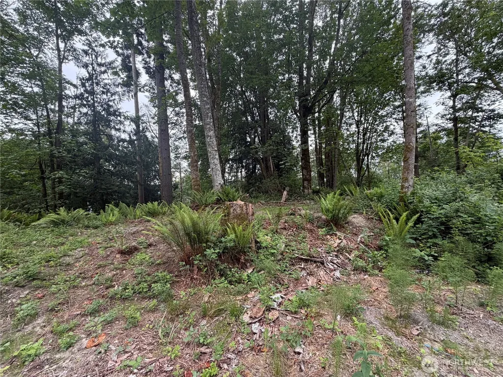 7095 Wilson Creek Road SE Port Orchard WA 98367