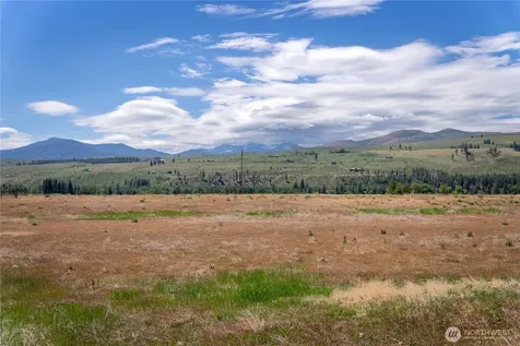 567 Twisp Winthrop Eastside Road Winthrop WA 98862