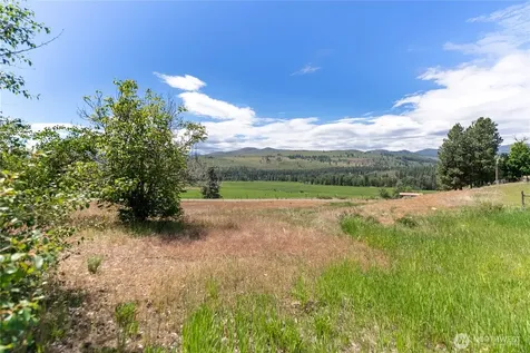 567 Twisp Winthrop Eastside Road Winthrop WA 98862