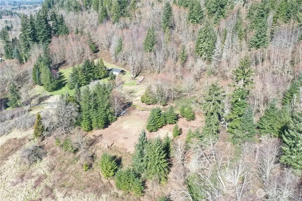 352 Larson Road Silver Creek WA 98585