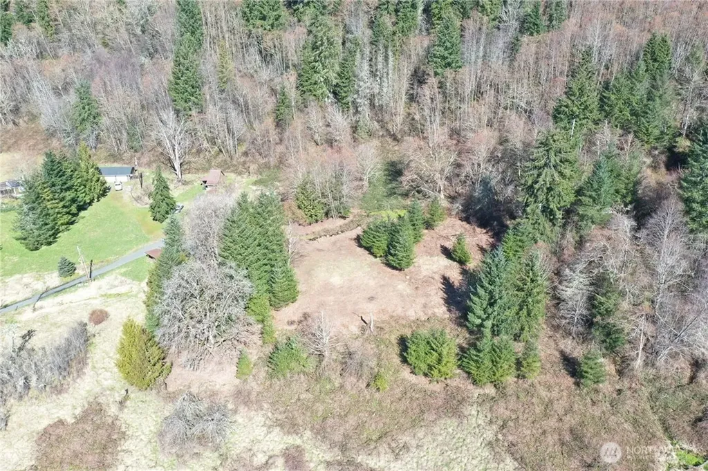 352 Larson Road Silver Creek WA 98585